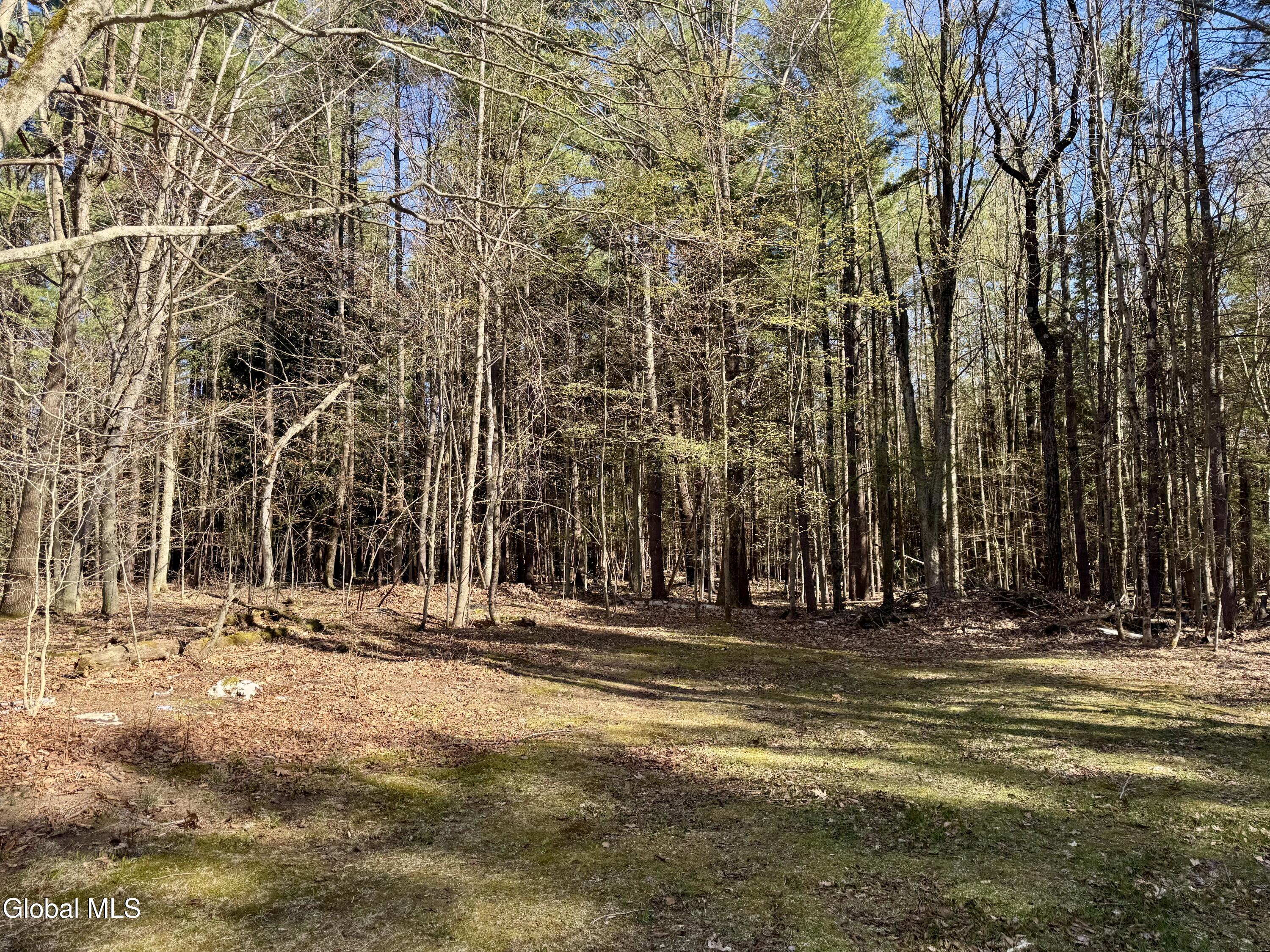 203 Wells Road Porter Corners NY 12859