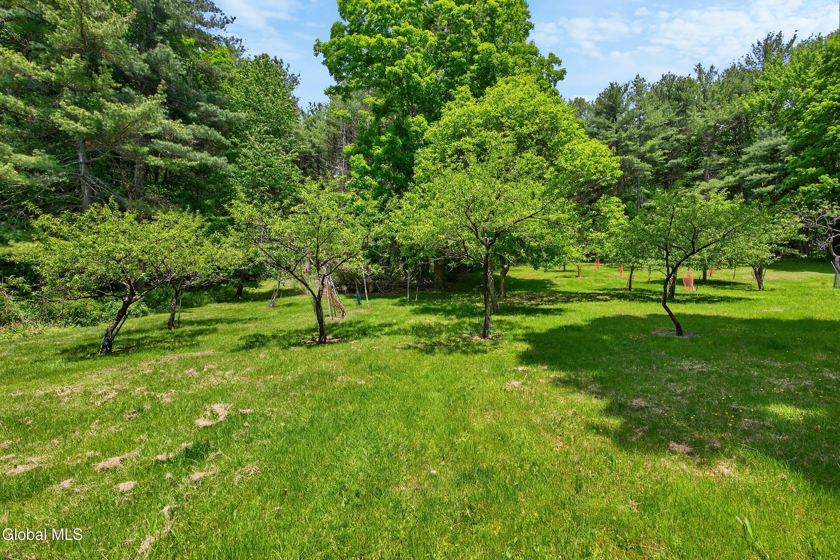359 Siebert Road Medusa NY 12120