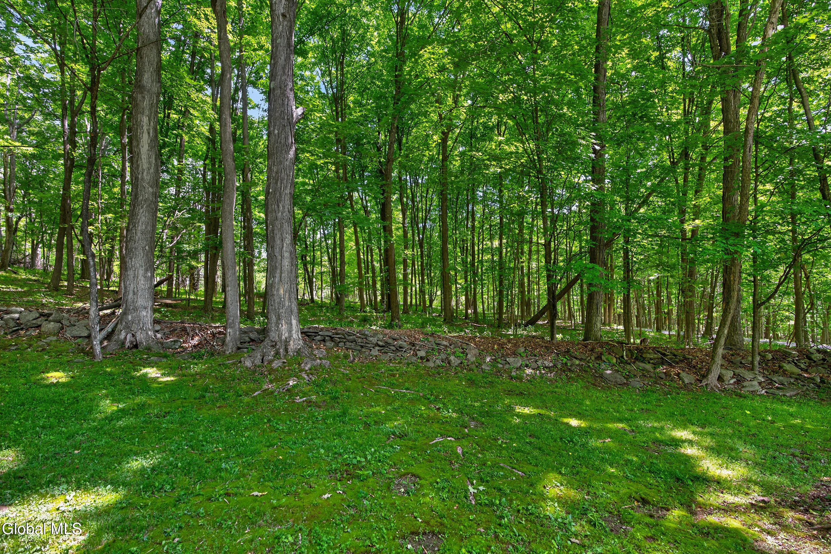 359 Siebert Road Medusa NY 12120