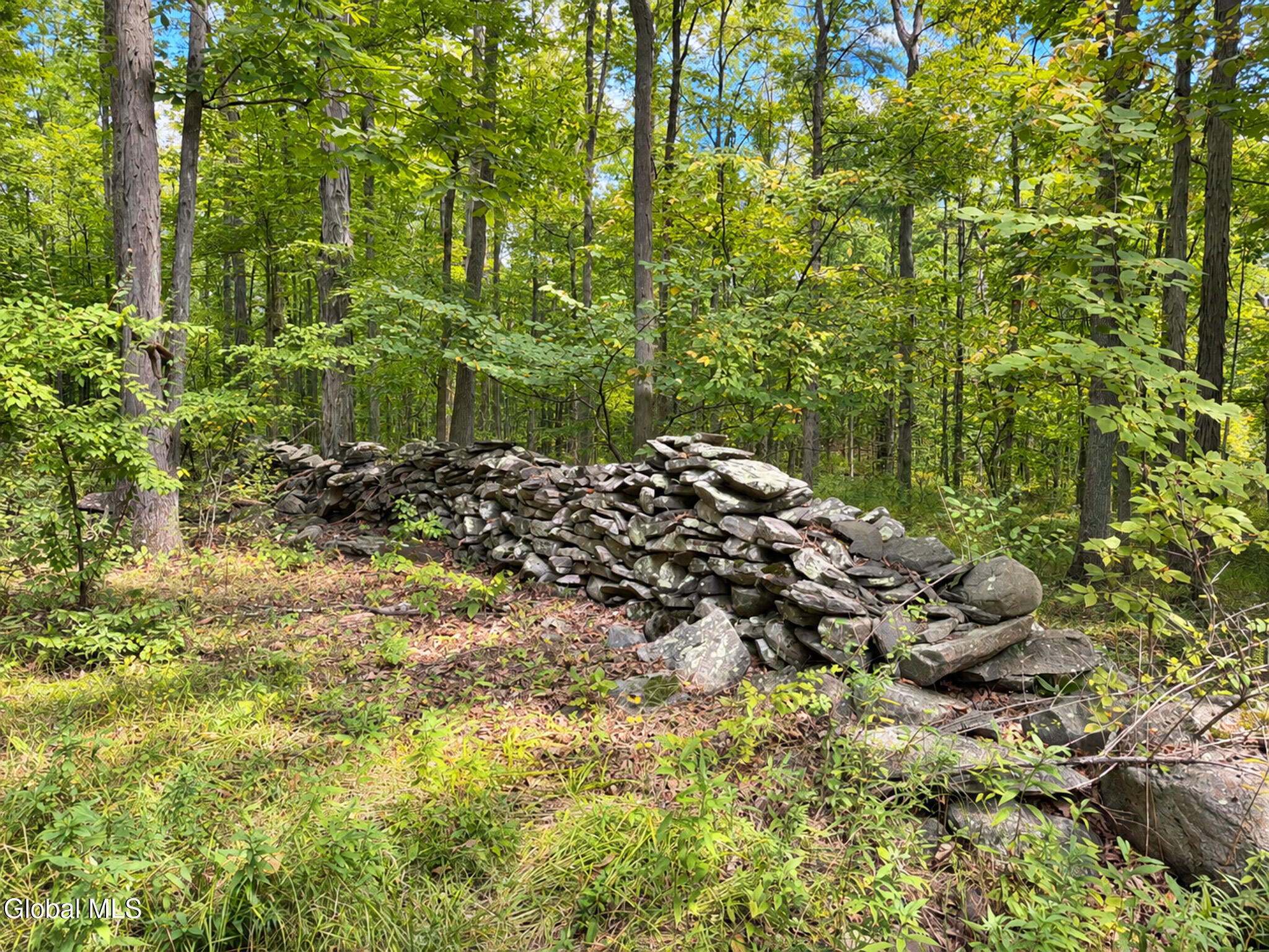 876 Big Woods Road Freehold NY 12431