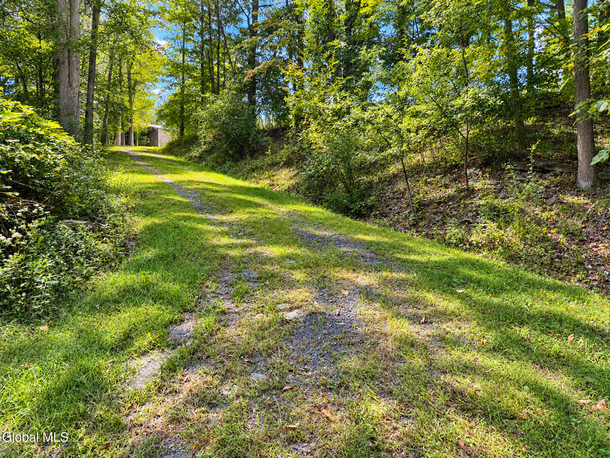 876 Big Woods Road Freehold NY 12431