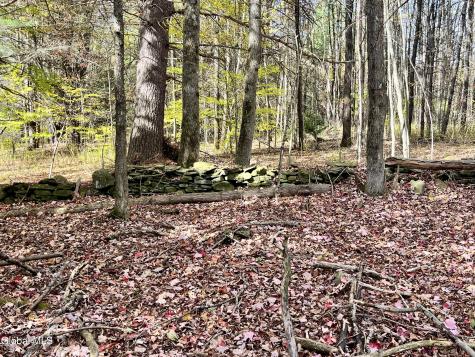 1064 Titus Lake Road Jefferson NY 13786
