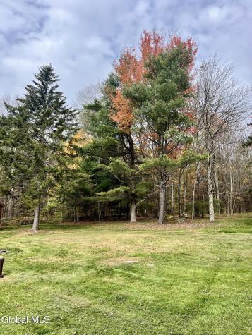 1064 Titus Lake Road Jefferson NY 13786