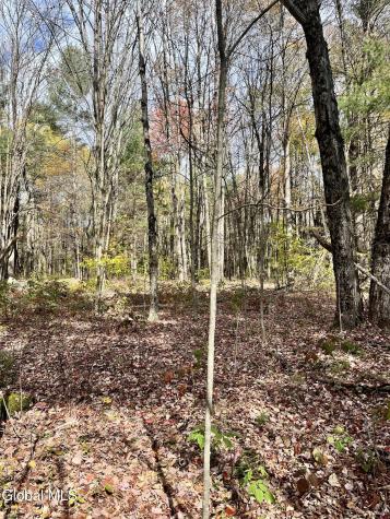 1064 Titus Lake Road Jefferson NY 13786