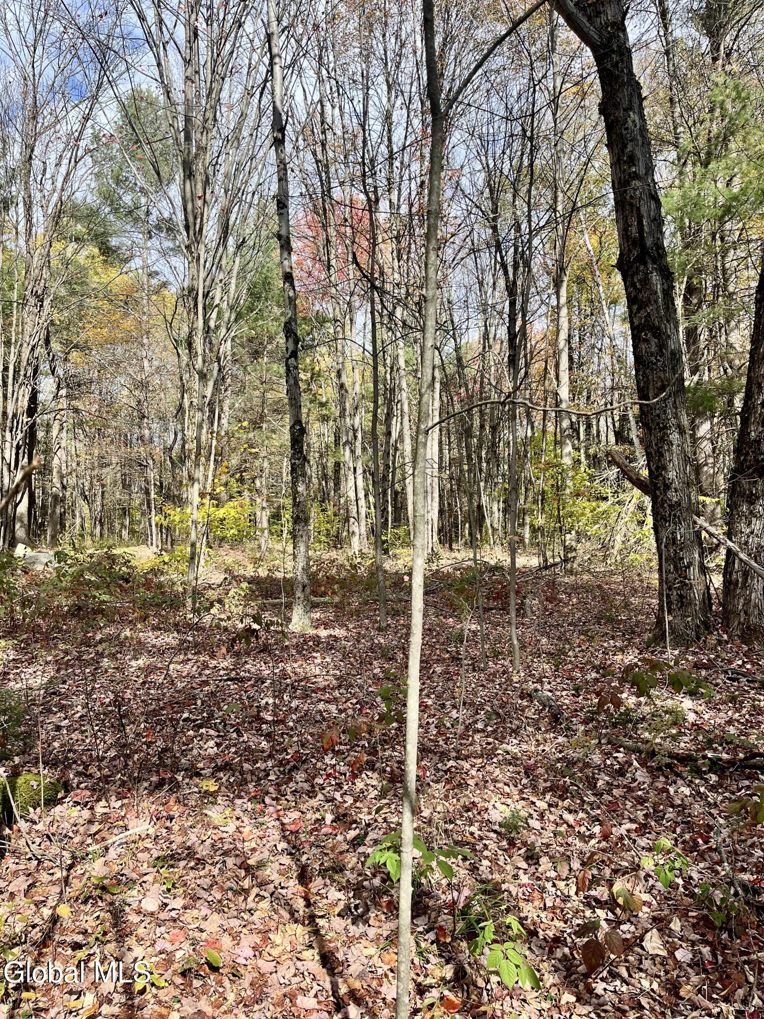 1064 Titus Lake Road Jefferson NY 13786