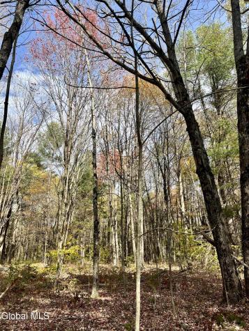 1064 Titus Lake Road Jefferson NY 13786
