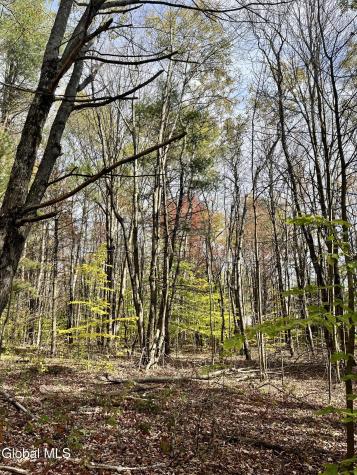 1064 Titus Lake Road Jefferson NY 13786