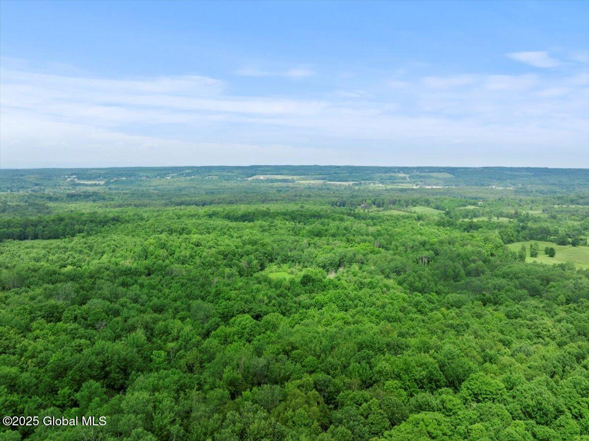 155 Andrews Road Sloansville NY 12160