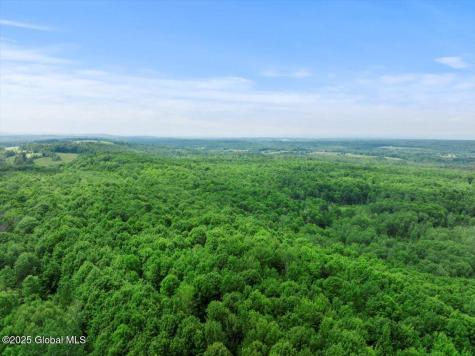 155 Andrews Road Sloansville NY 12160