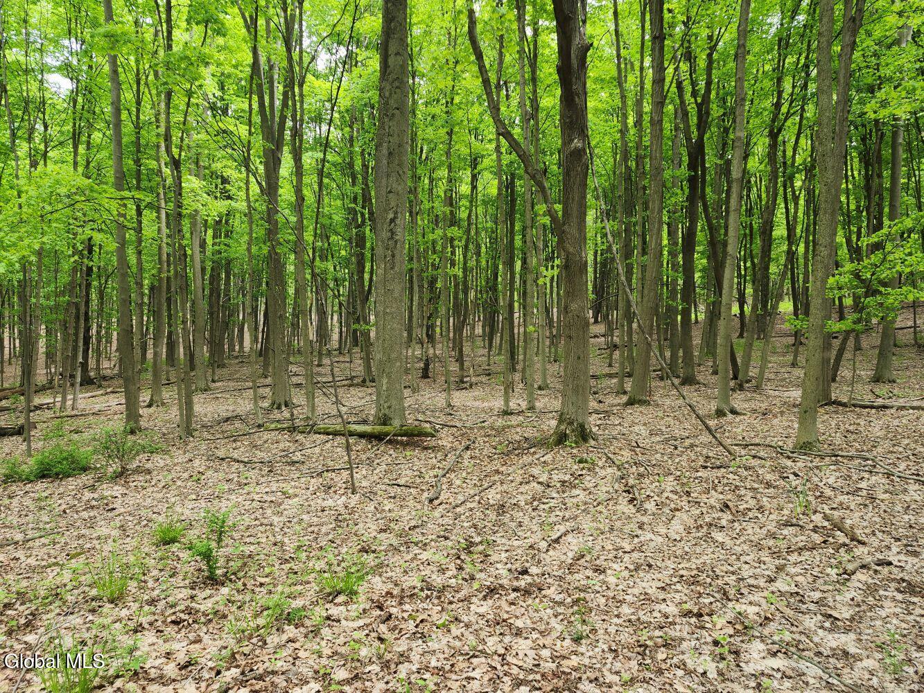 470 Hoag Road Valley Falls NY 12185