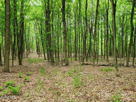 470 Hoag Road Valley Falls NY 12185