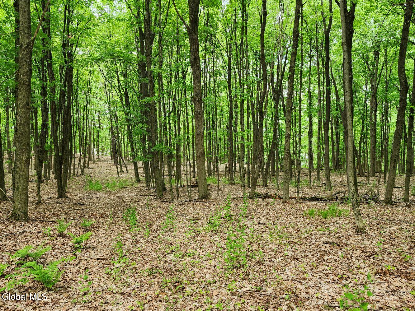 470 Hoag Road Valley Falls NY 12185