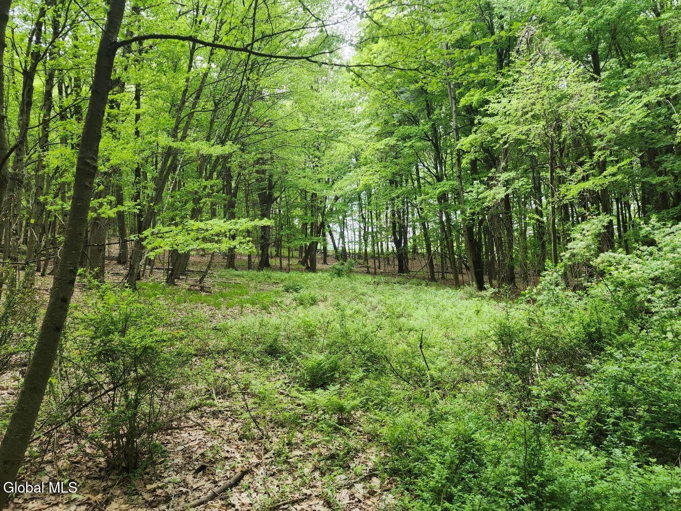 470 Hoag Road Valley Falls NY 12185