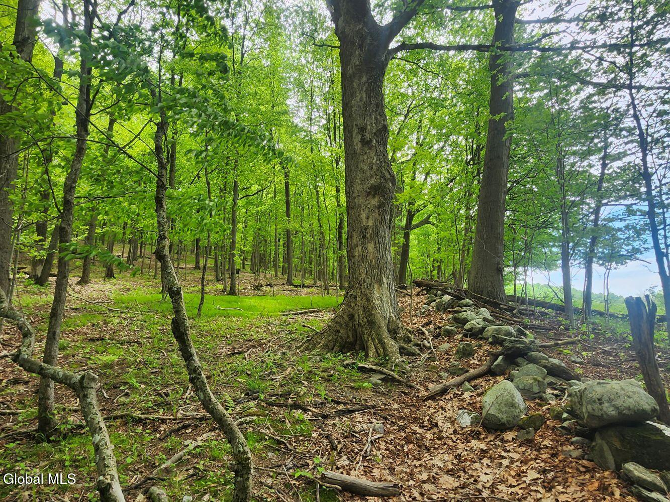 470 Hoag Road Valley Falls NY 12185