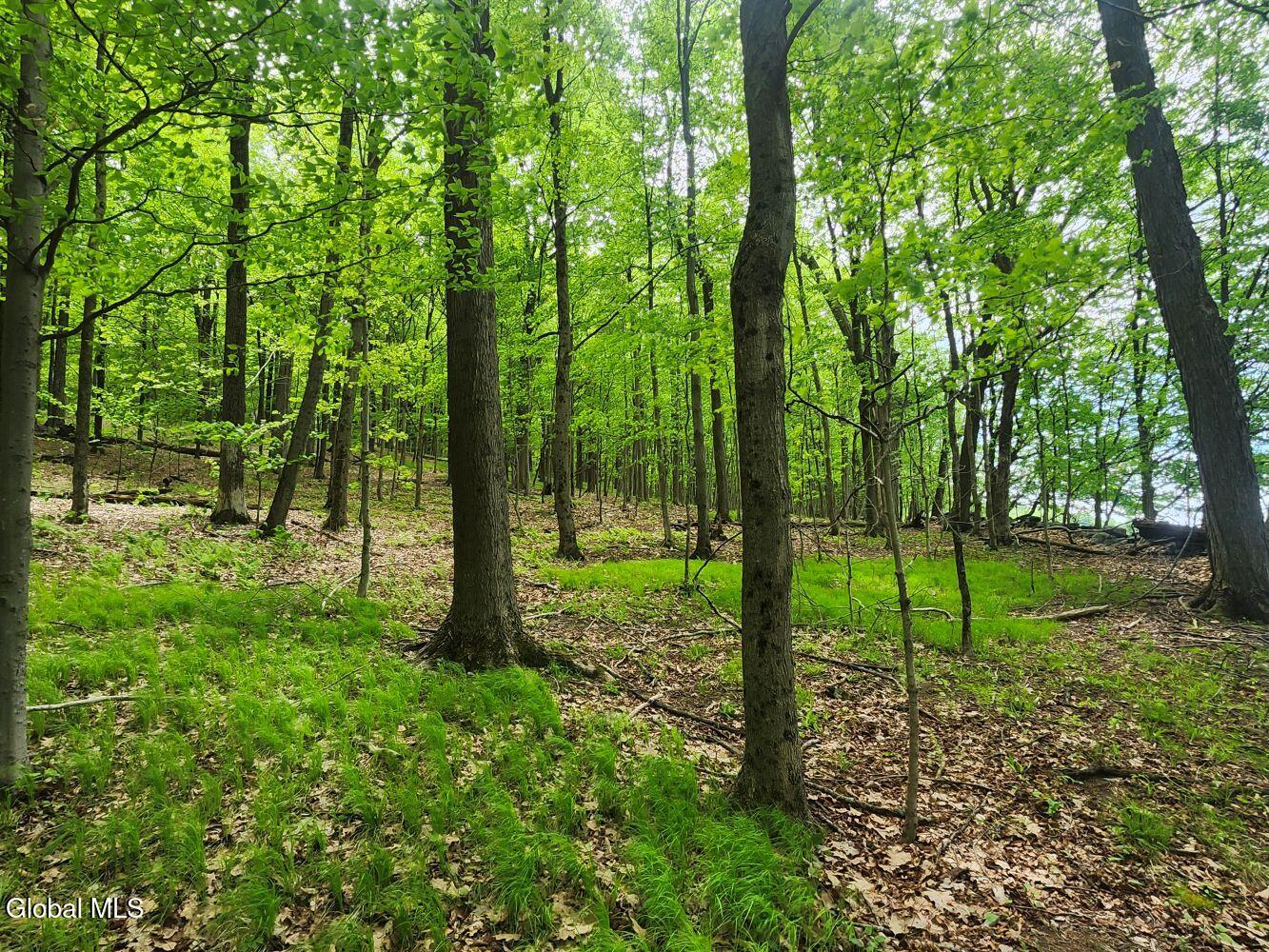 470 Hoag Road Valley Falls NY 12185