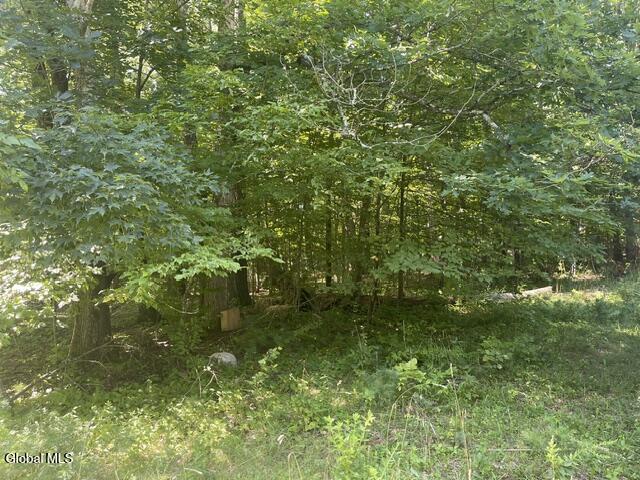 171 Woodland Drive Purling NY 12413