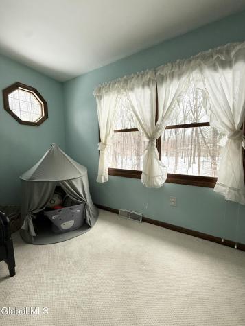 38 Deer Run Hollow Halfmoon NY 12065