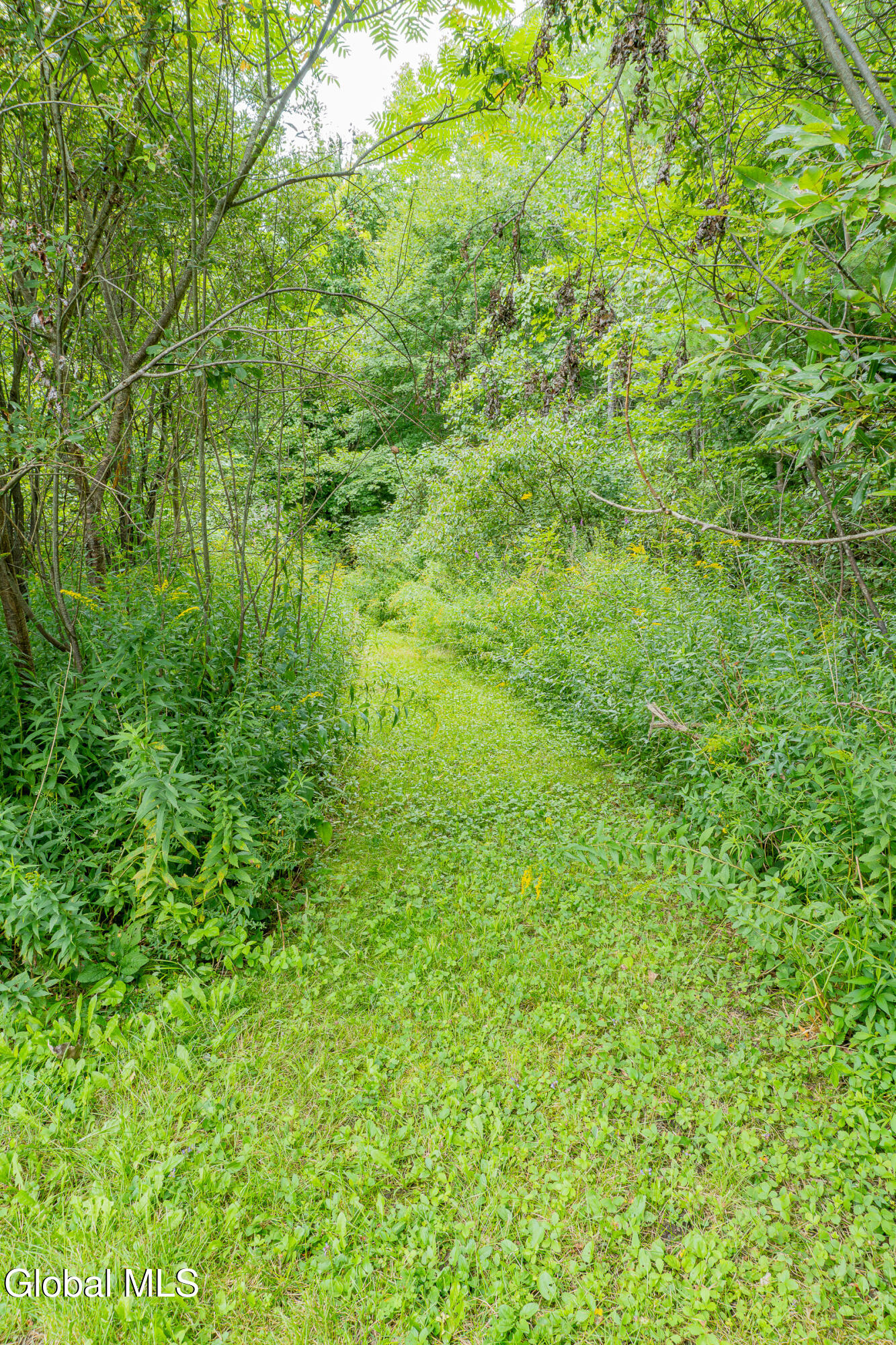 612 Bunker Hill Road Mayfield NY 12117