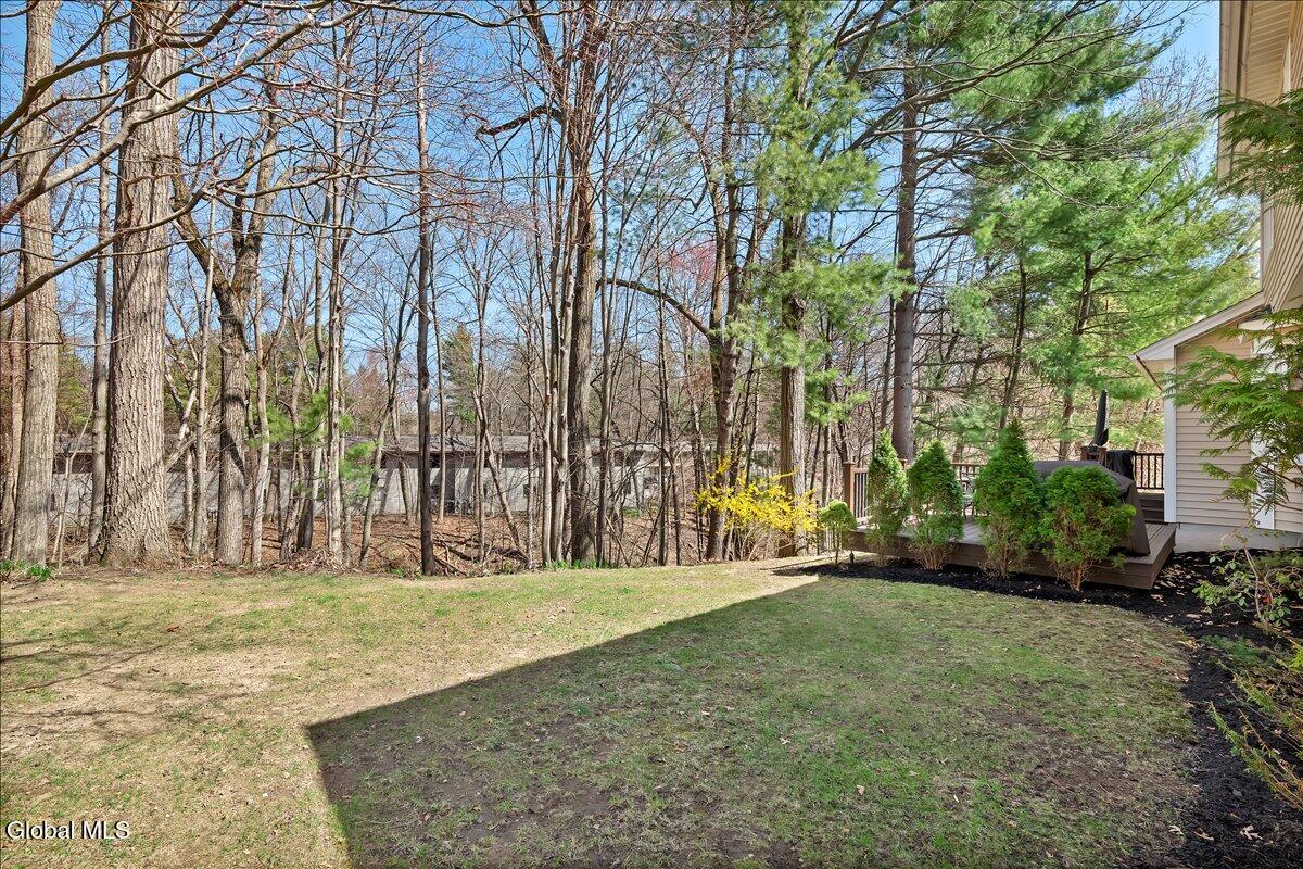 12 Deer Run Hollow Halfmoon NY 12065