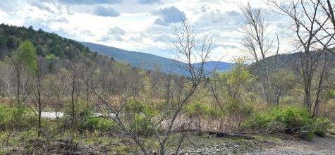 10398 Route 23-a Hunter NY 12442