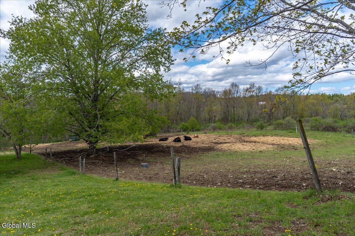155 Mahaffy Road Greenwich NY 12834