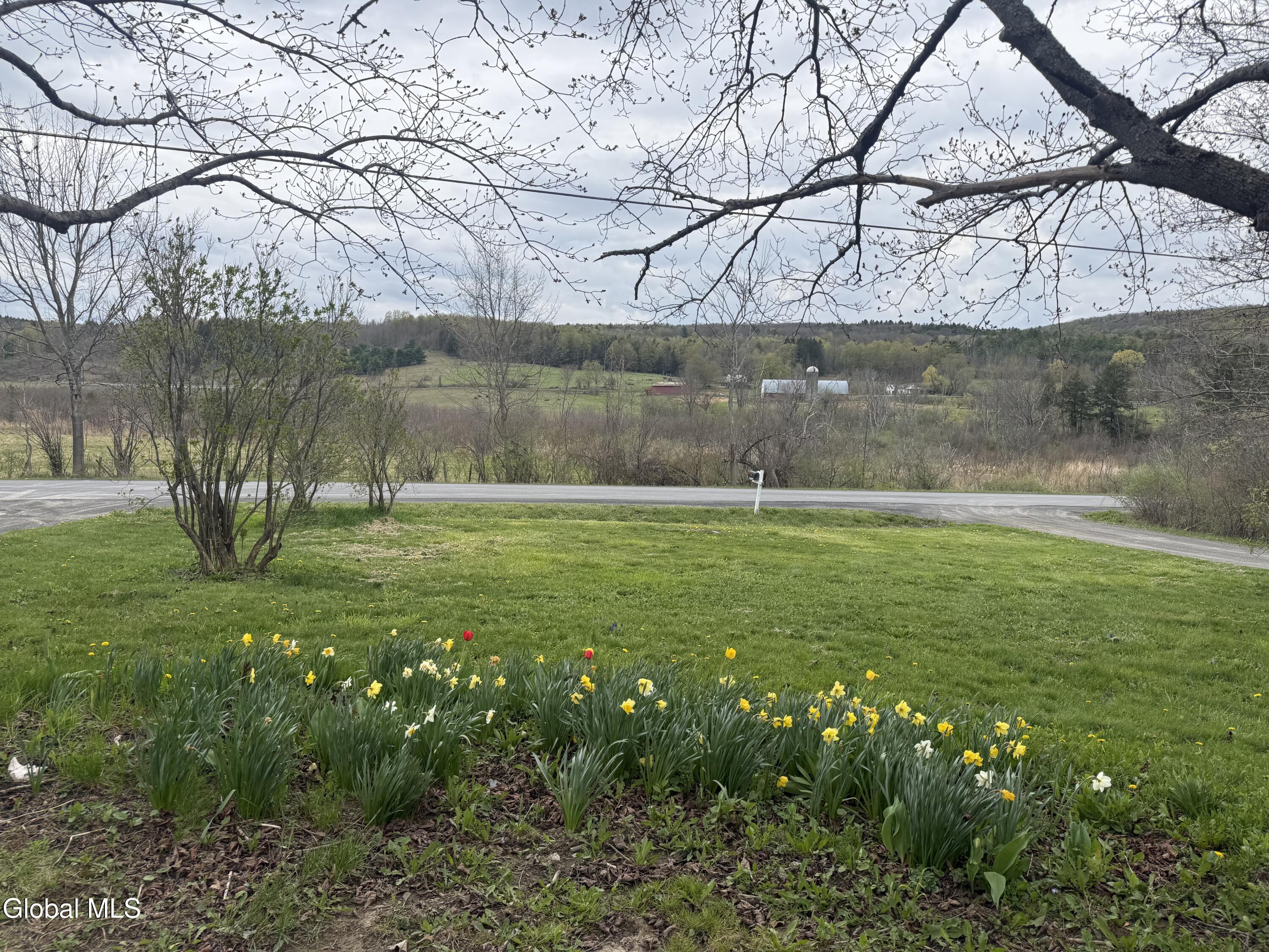 412 Long Road East Berne NY 12059