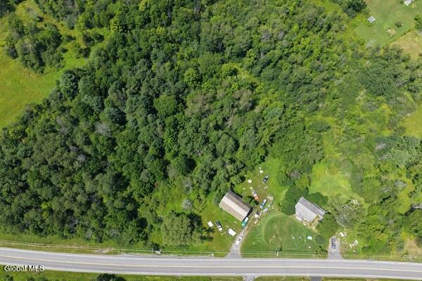 9586 Duanesburg Road Delanson NY 12053