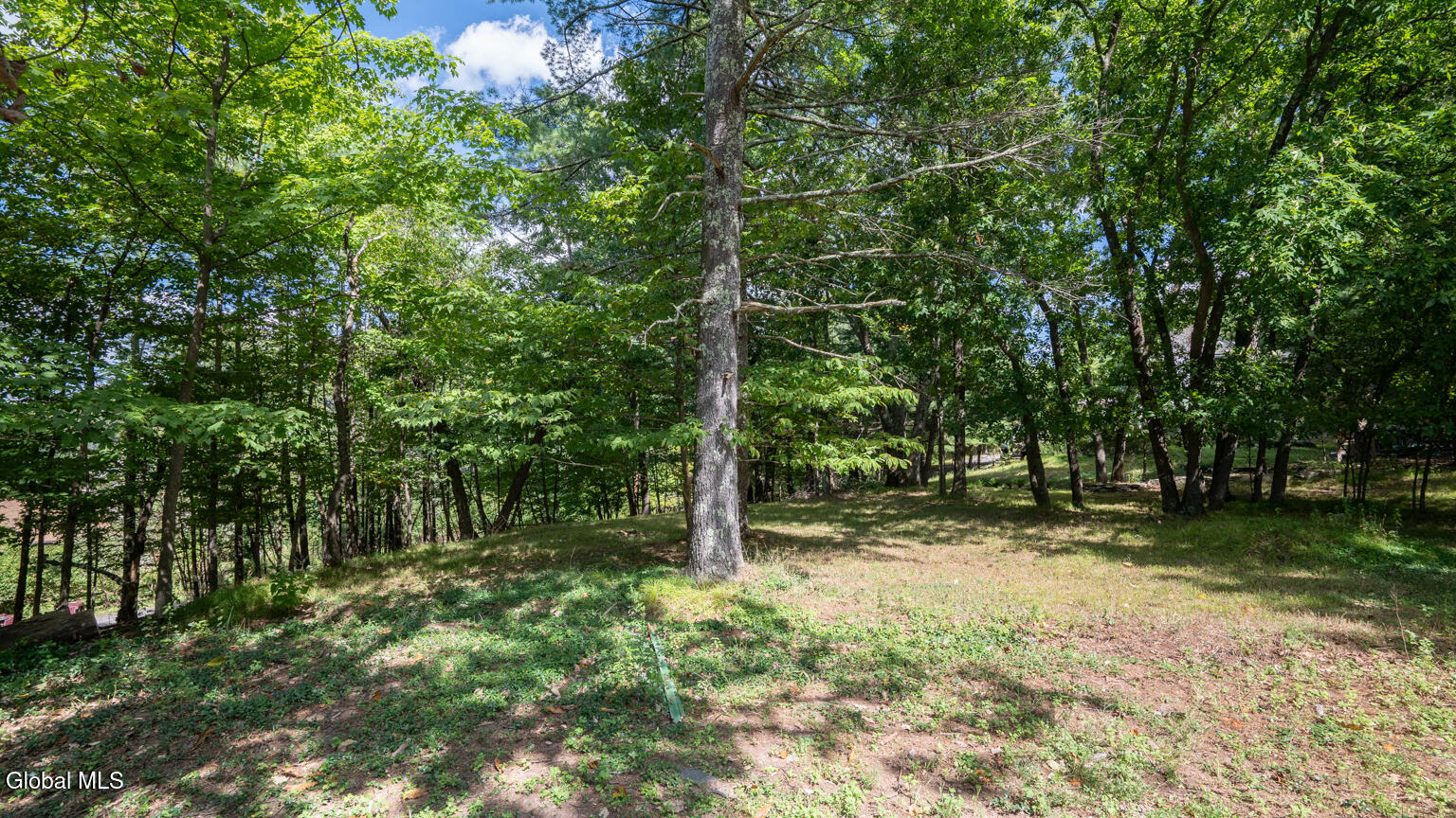 273 Pollys Rock Road Cairo NY 12413