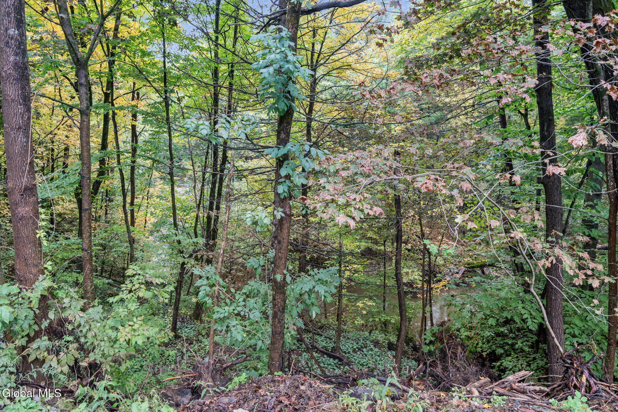 2628 Troy Schenectady Road Niskayuna NY 12309