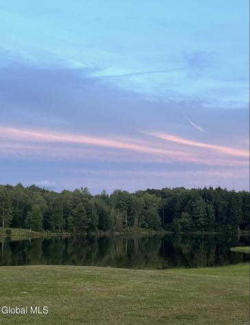 783 Woodstock Road East Berne NY 12059