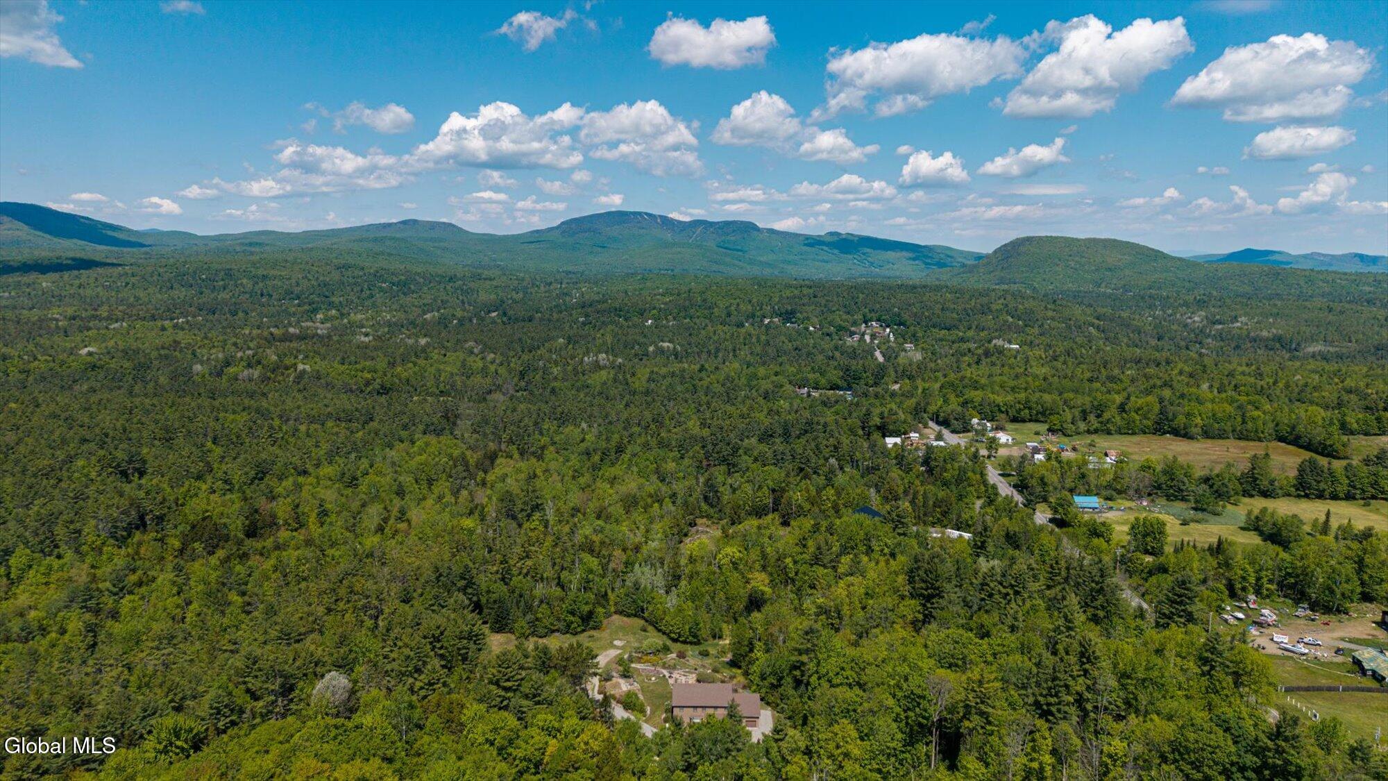 1603 S Johnsburg Road Johnsburg NY 12843