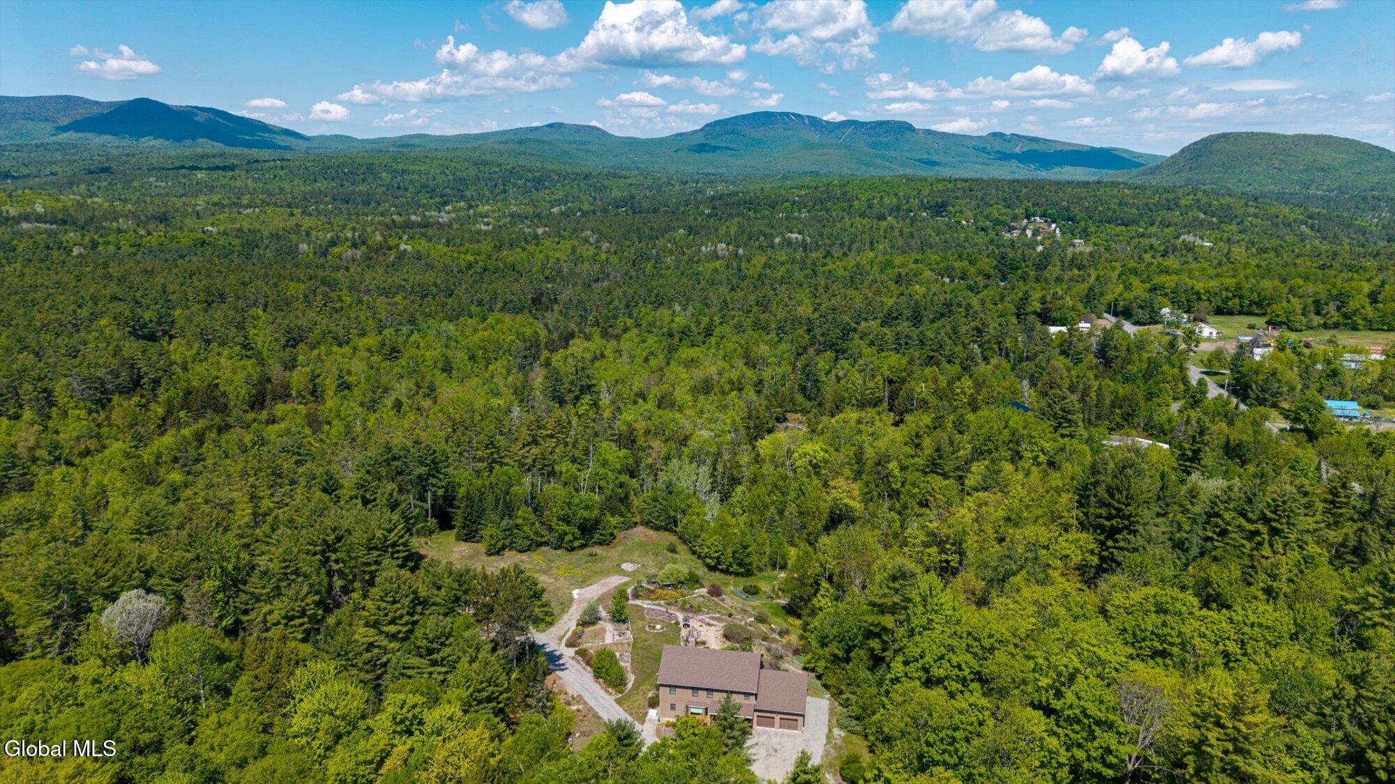 1603 S Johnsburg Road Johnsburg NY 12843