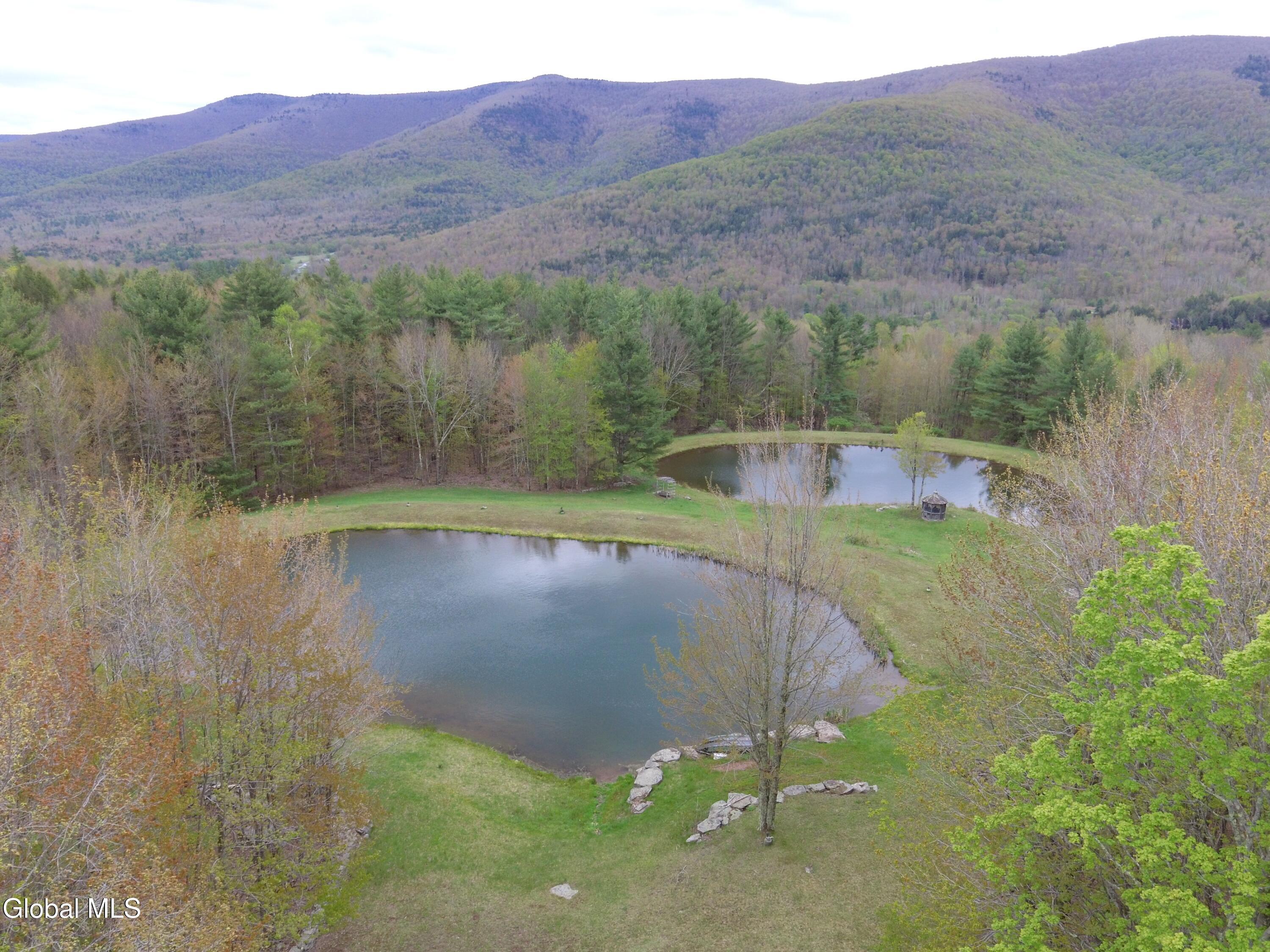 184 Cloos Road Hunter NY 12442