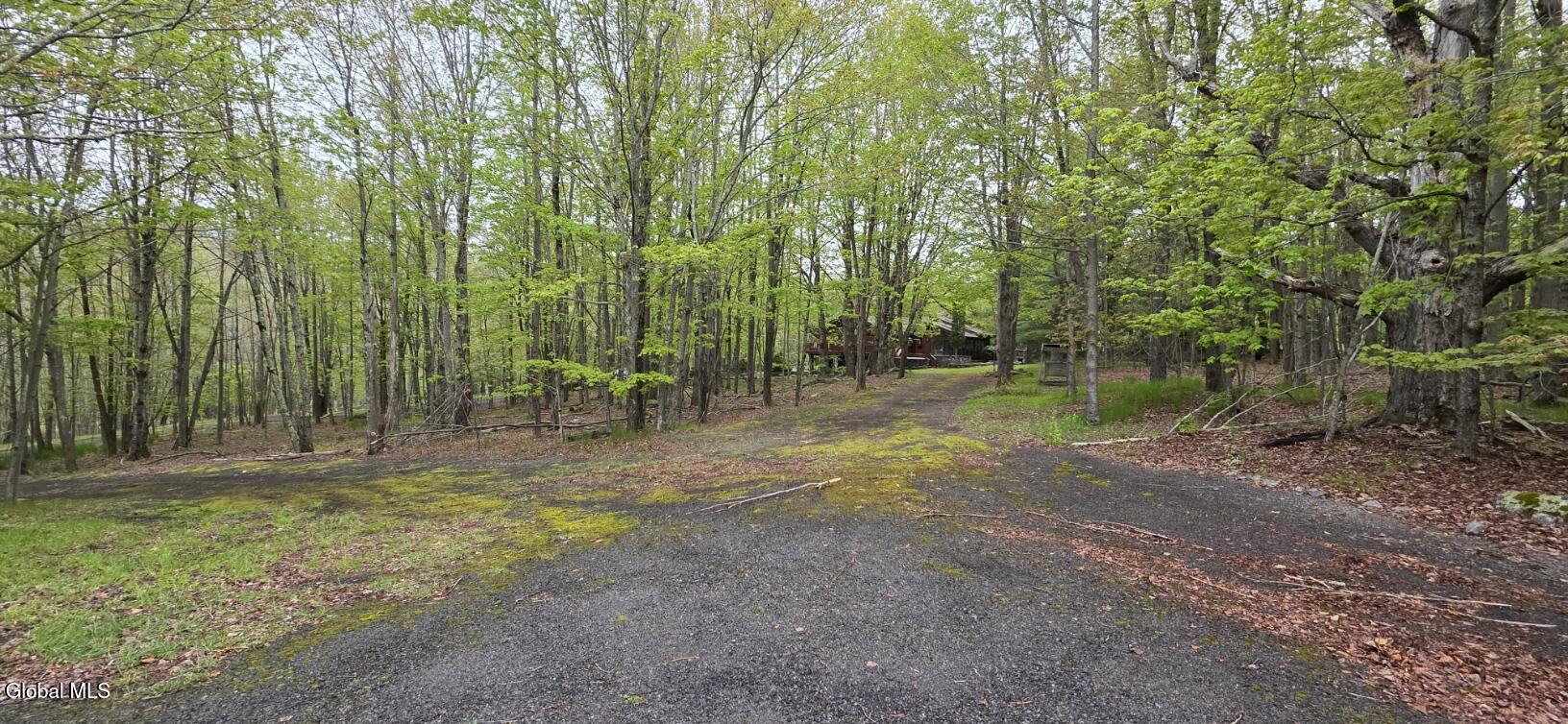 184 Cloos Road Hunter NY 12442