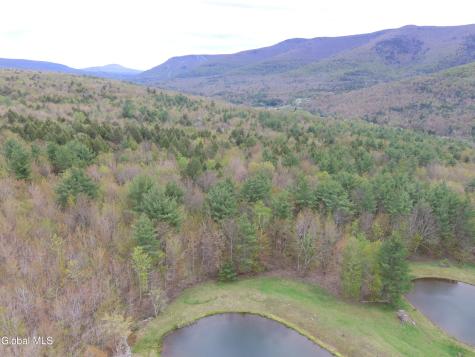 184 Cloos Road Hunter NY 12442