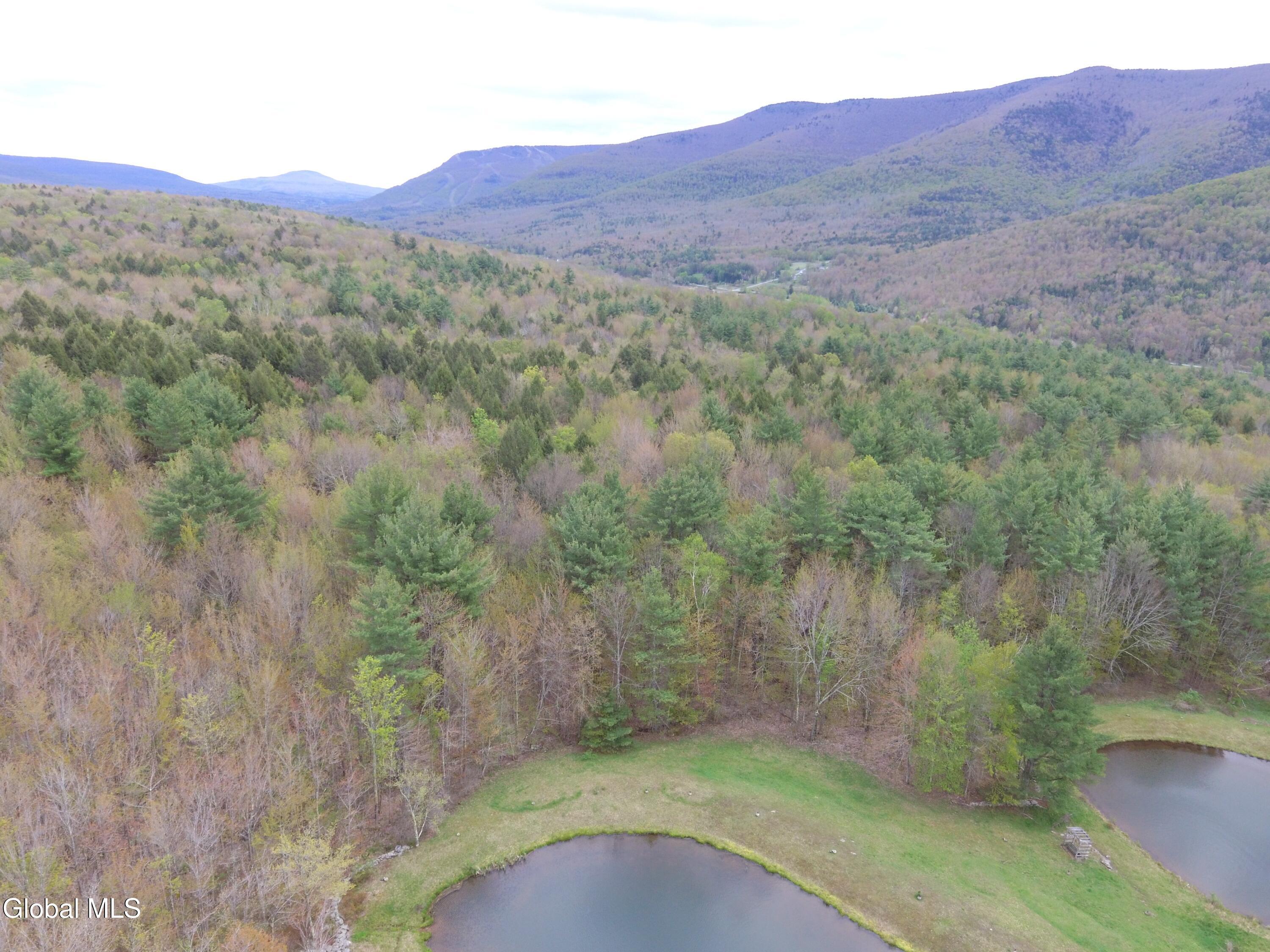 184 Cloos Road Hunter NY 12442