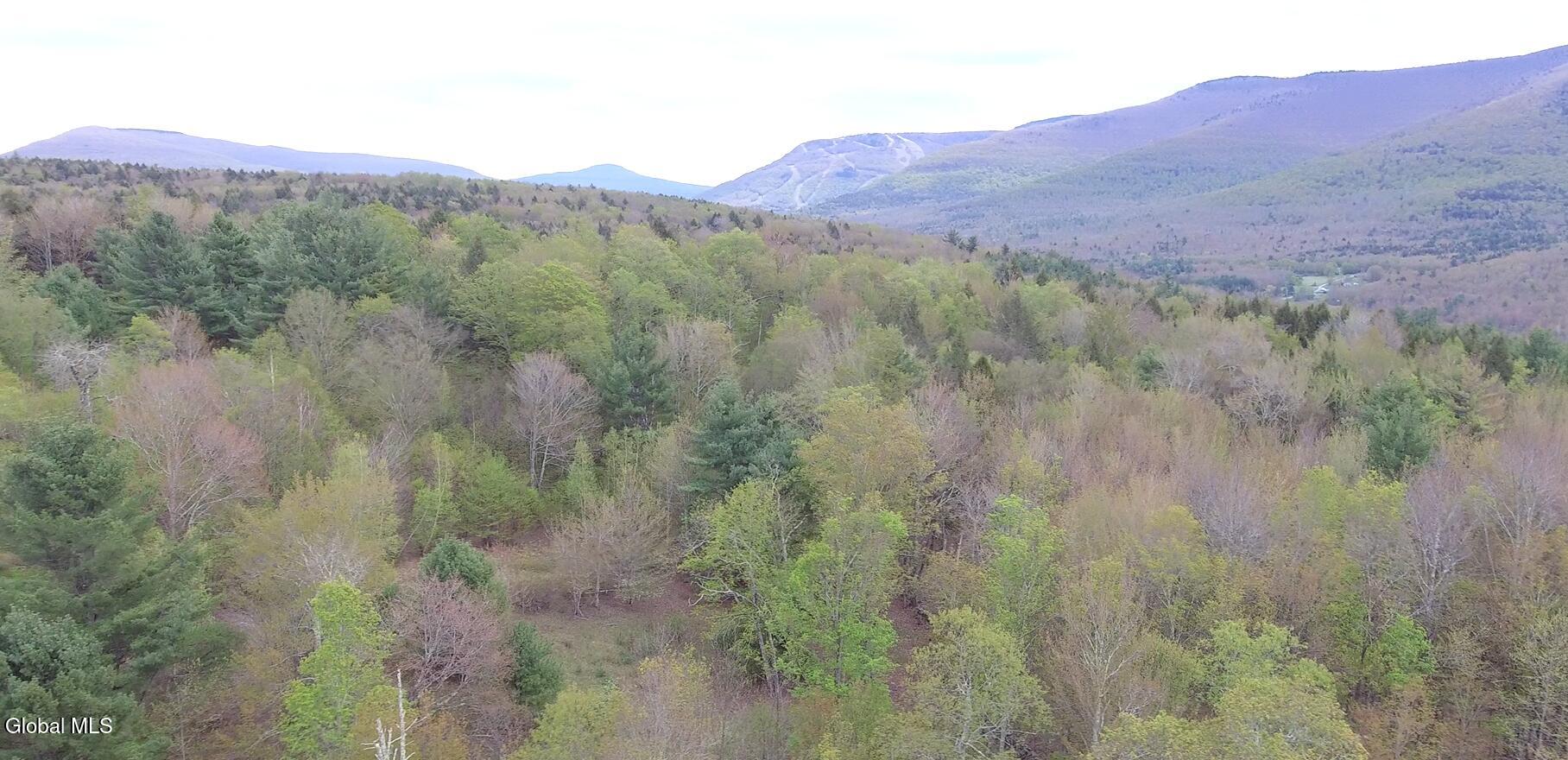 184 Cloos Road Hunter NY 12442