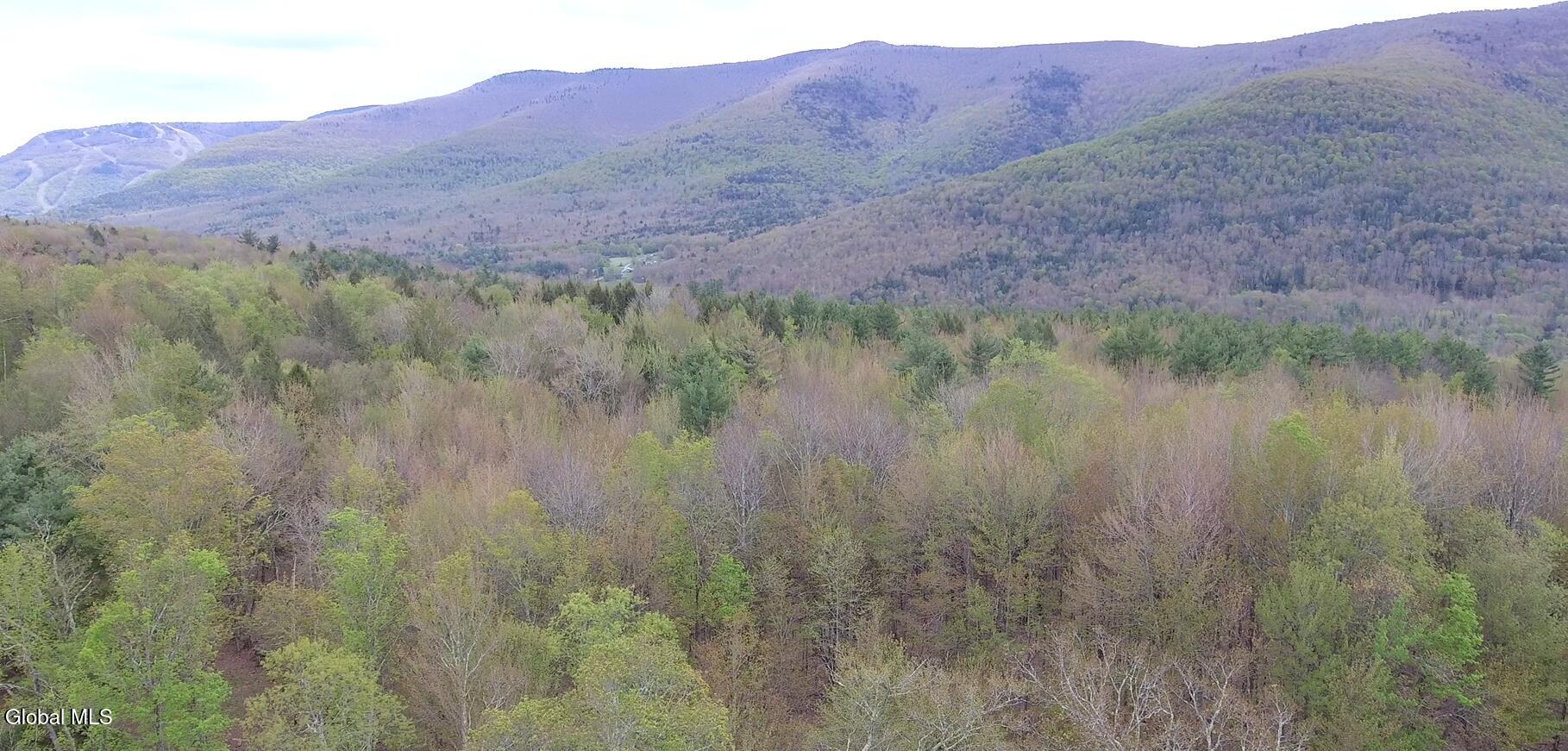 184 Cloos Road Hunter NY 12442