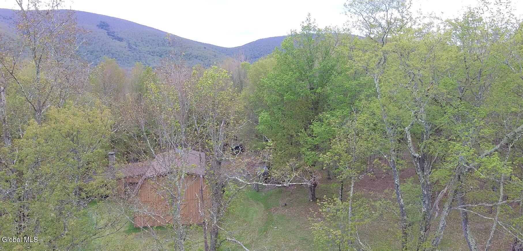 184 Cloos Road Hunter NY 12442