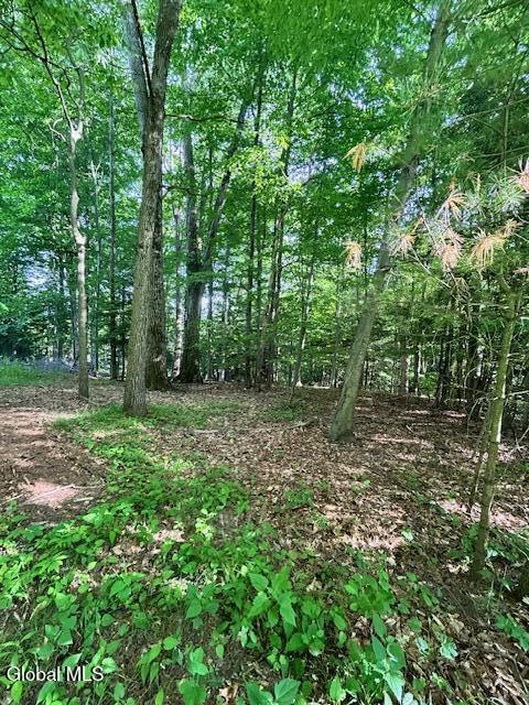 2600 Rosendale Road Schenectady NY 12309