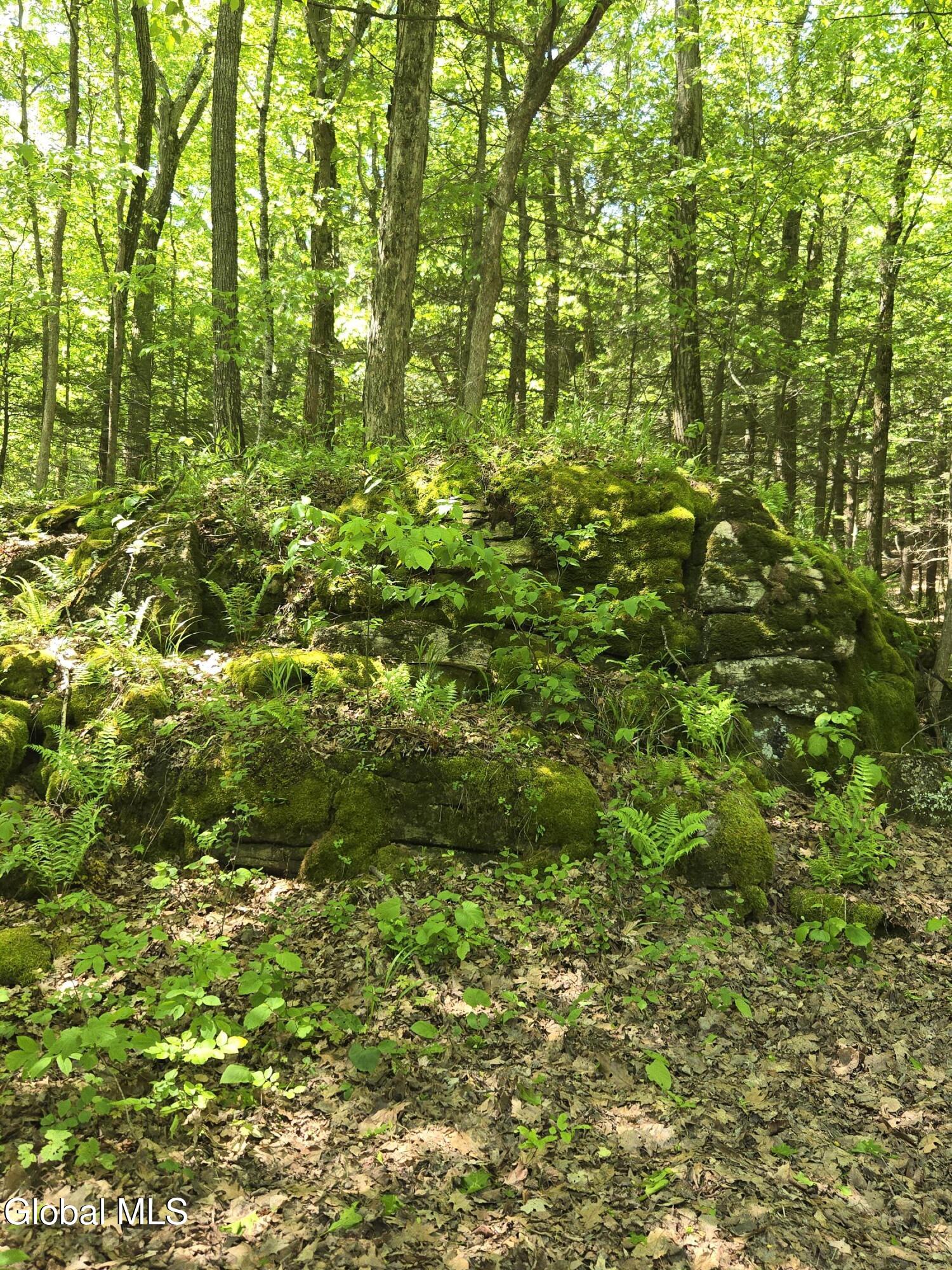 411 Thacher Park Road Voorheesville NY 12186