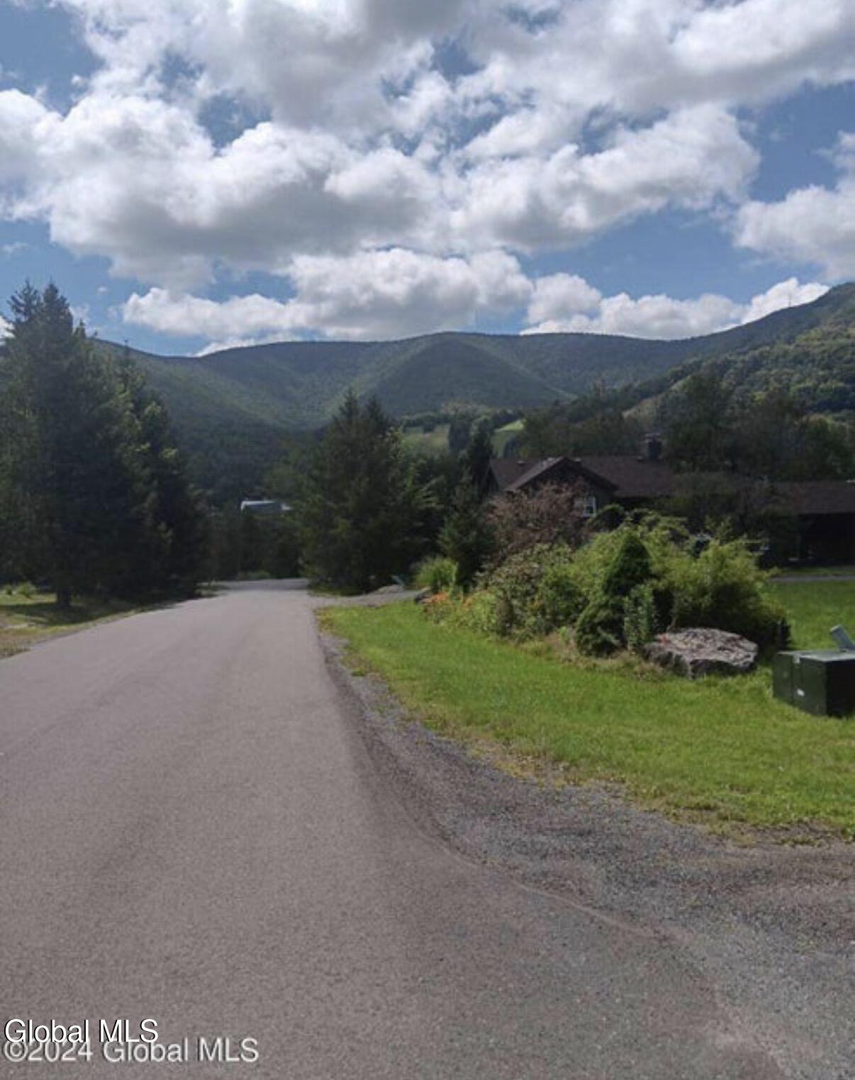 167 Botti Drive Hunter NY 12442