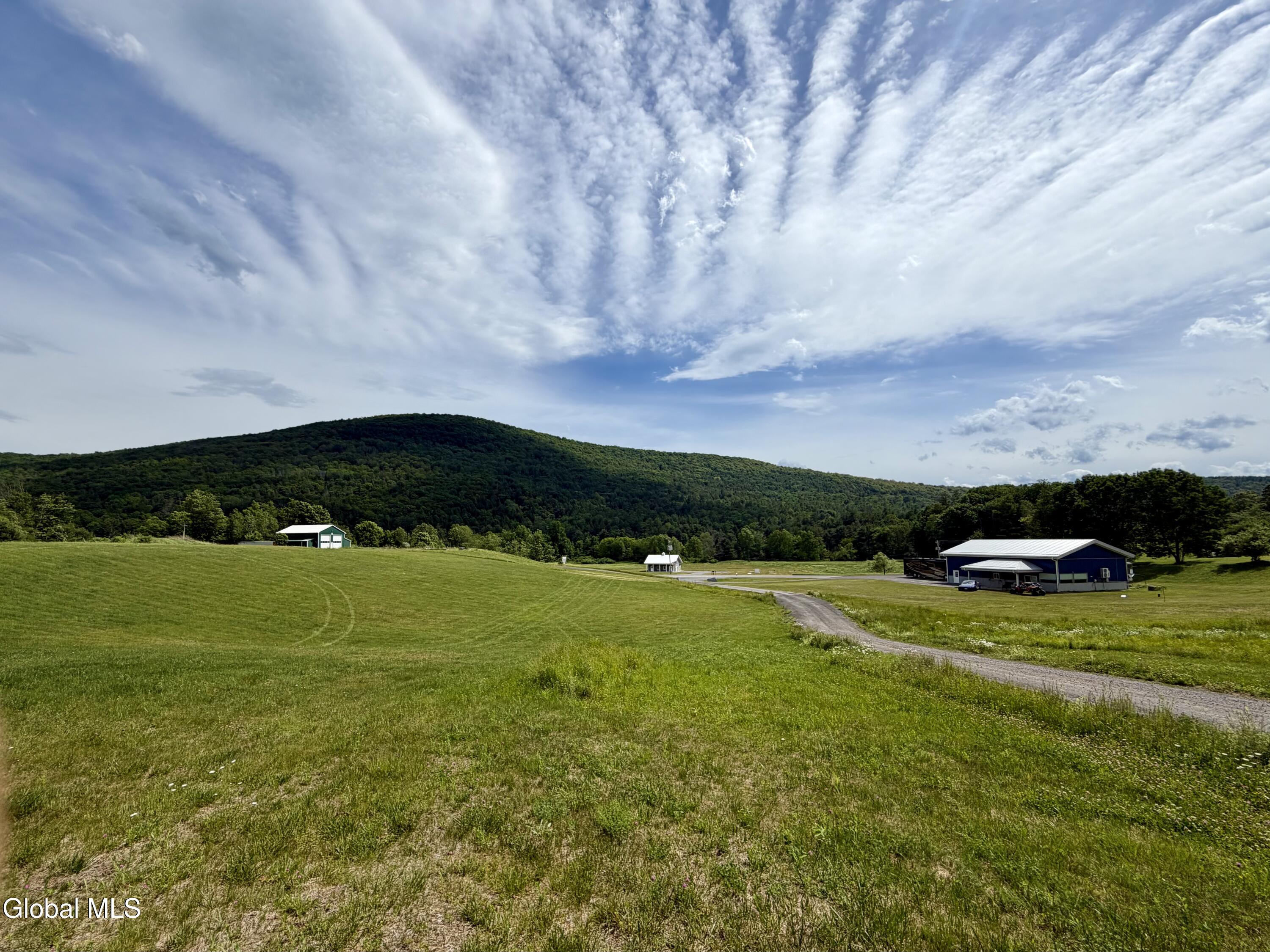 1007 New York 990v Gilboa NY 12076