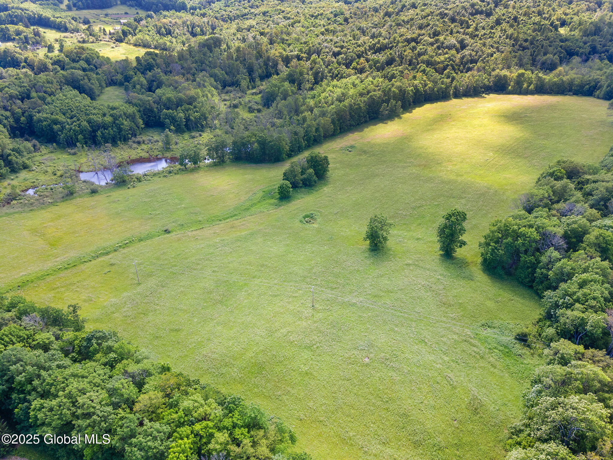 755 State Route 10 Jefferson NY 12093