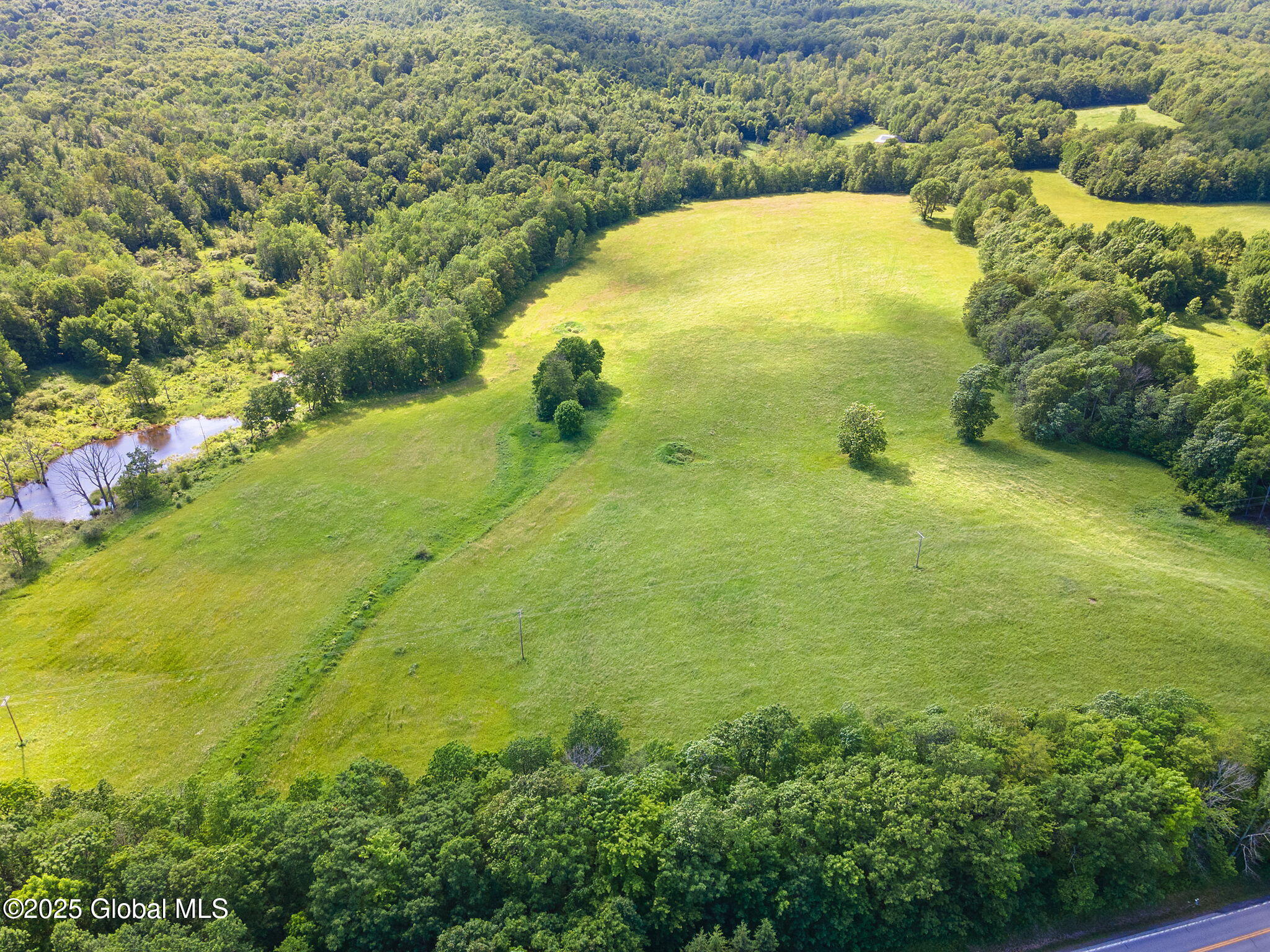 755 State Route 10 Jefferson NY 12093