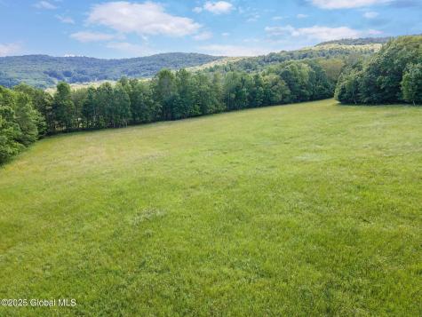 755 State Route 10 Jefferson NY 12093