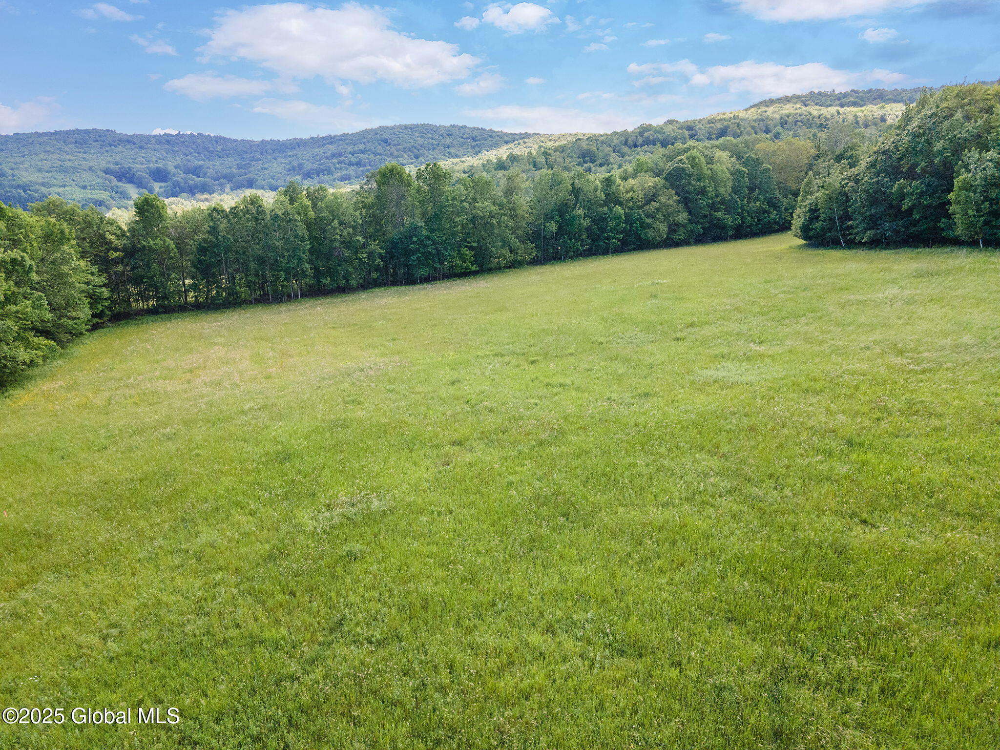 755 State Route 10 Jefferson NY 12093