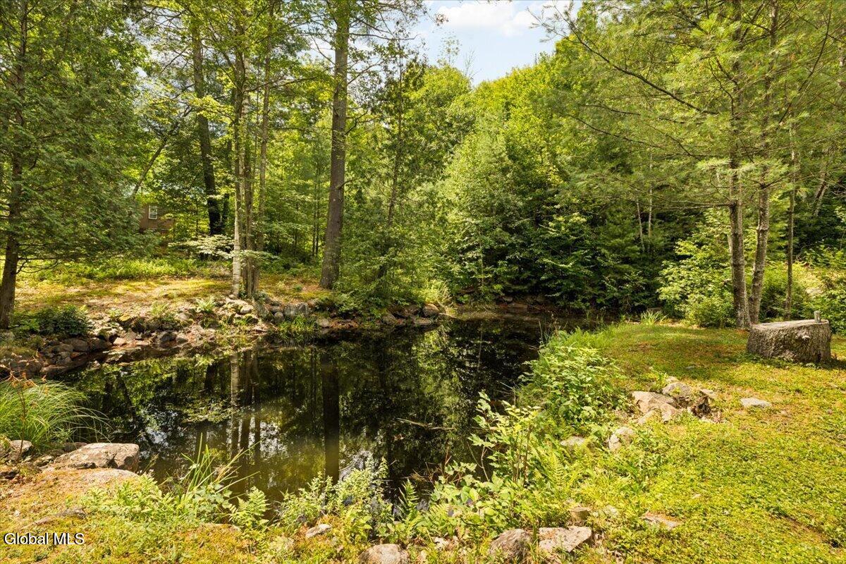 175 John Brannon Road Olmstedville NY 12857