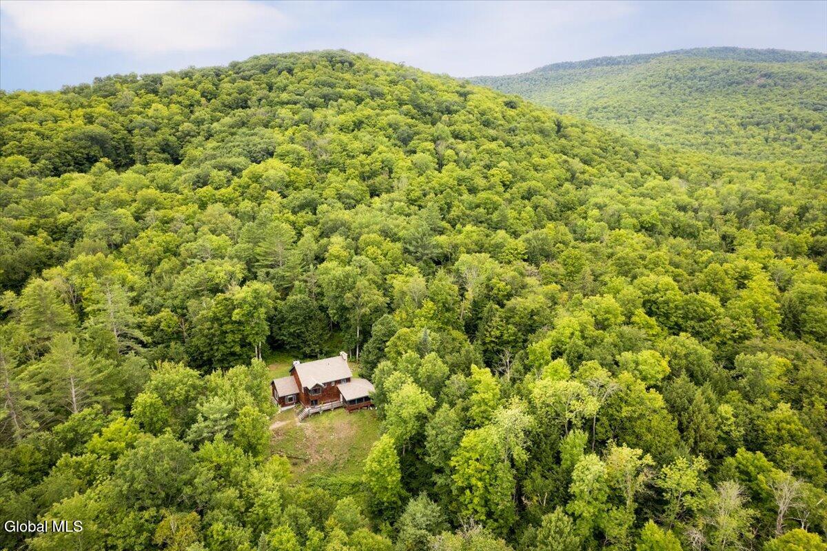 175 John Brannon Road Olmstedville NY 12857