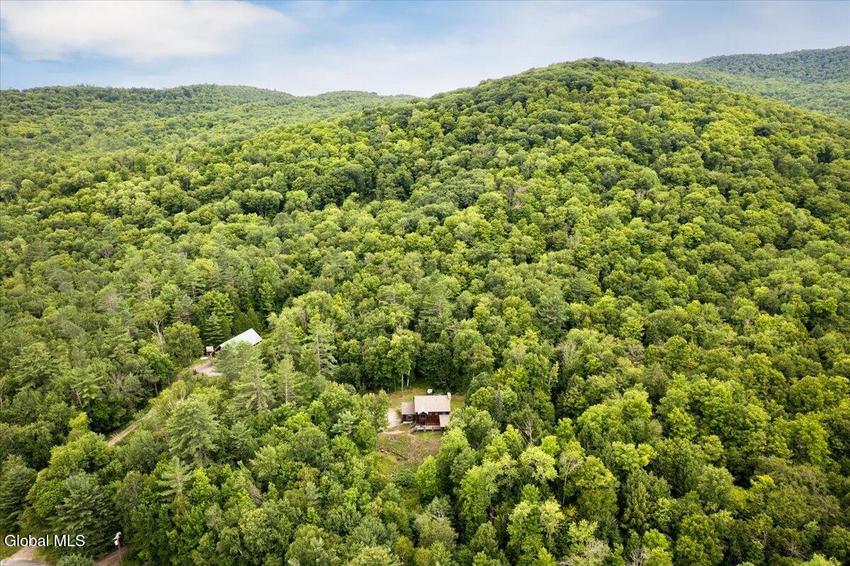 175 John Brannon Road Olmstedville NY 12857